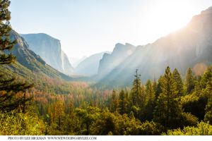 Best honeymoon destination, Yosemite National Park
